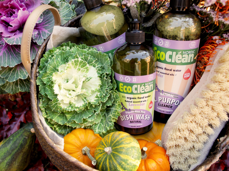 Přírodně s Eco Clean anebo s citrónem?