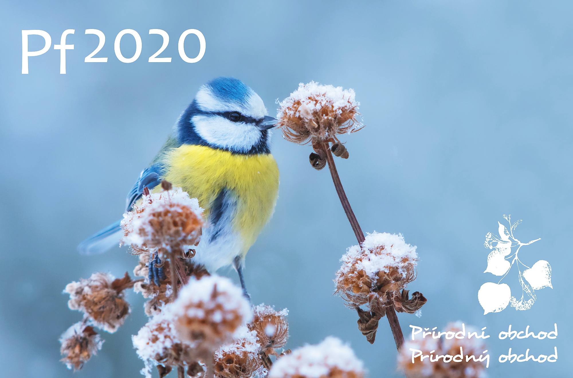 ŠŤASTNÝ NOVÝ ROK 2020!