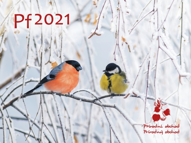 ŠŤASTNÝ NOVÝ ROK 2021!