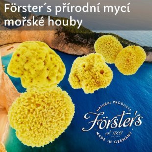 forsters_houby