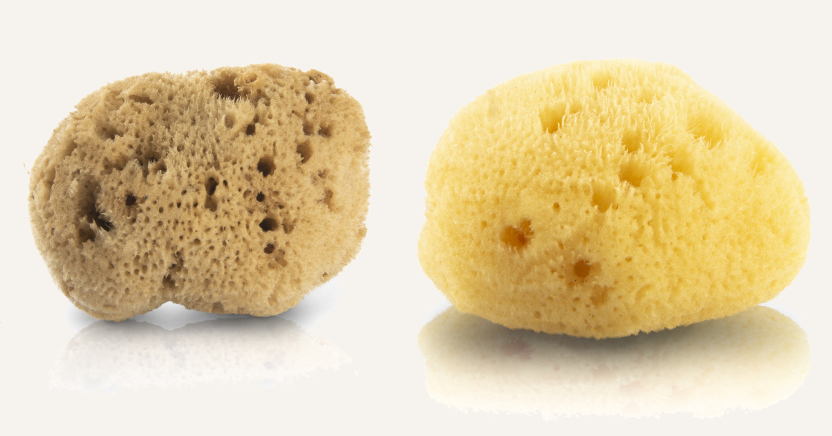 BĚLENÁ NEBO MINERÁLNÍ?