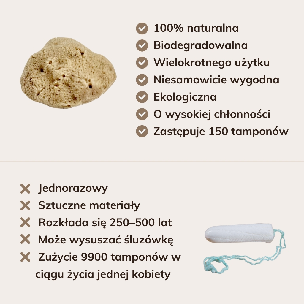 Gabka-menstruacyjna-porownania