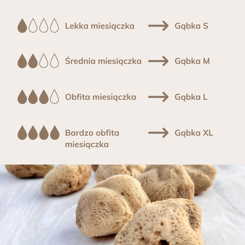 Gabka-menstruacyjna-rozmier-2