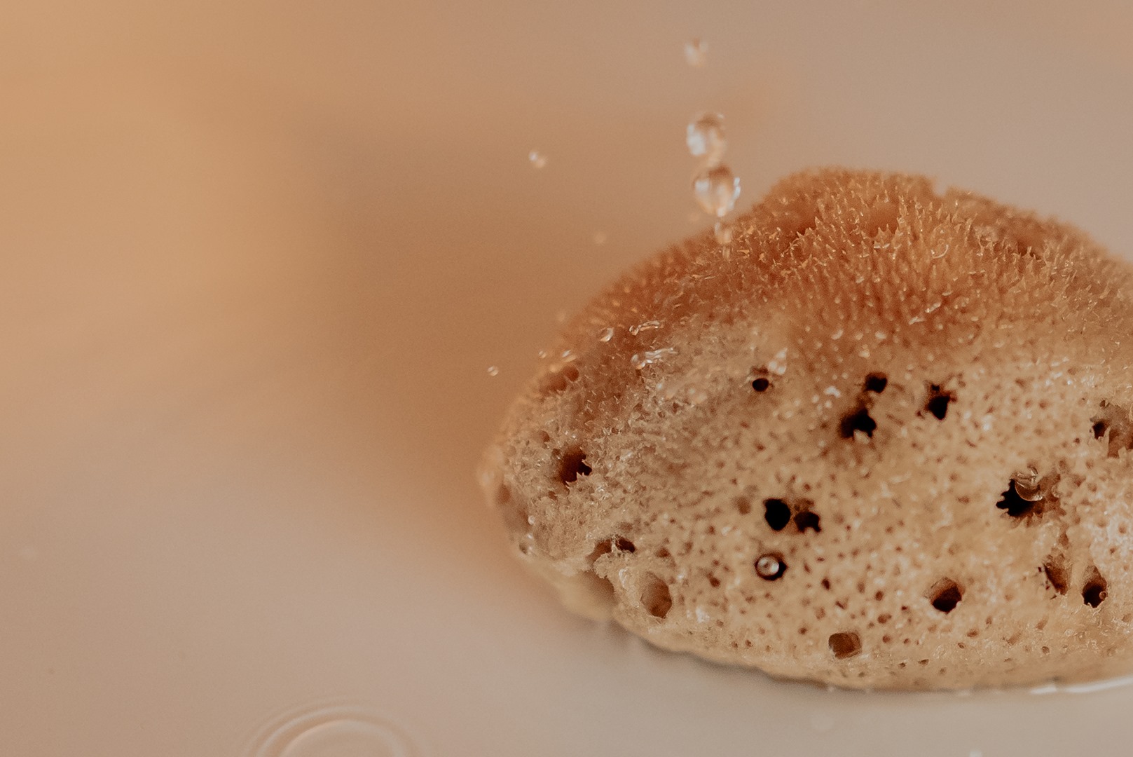 gabka-menstruacyjna1