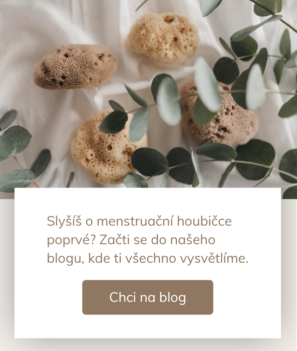 O menstruačních houbách