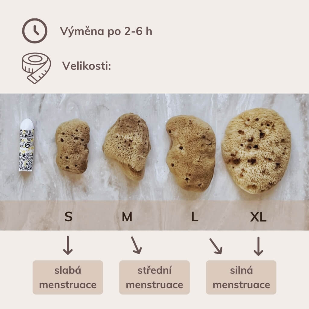 menstruacni_houba-8
