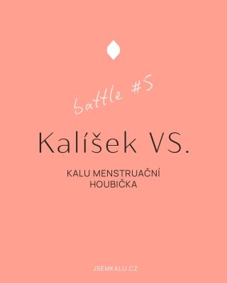 Kalíšek nesedí každé. A to je v pořádku. Některé ženy cítí tlak, podtlak nebo nepohodlí. A právě proto existuje jemnější...