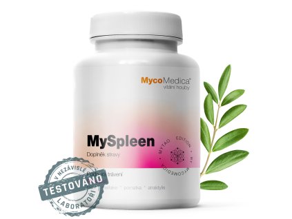 myspleen detail s razitkem kopie.1025759333