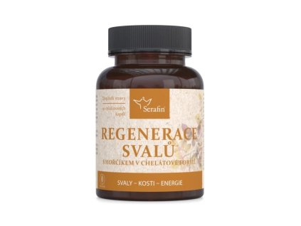 regenerace svalu
