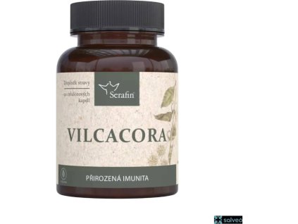 Vilca