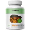 CHAGA