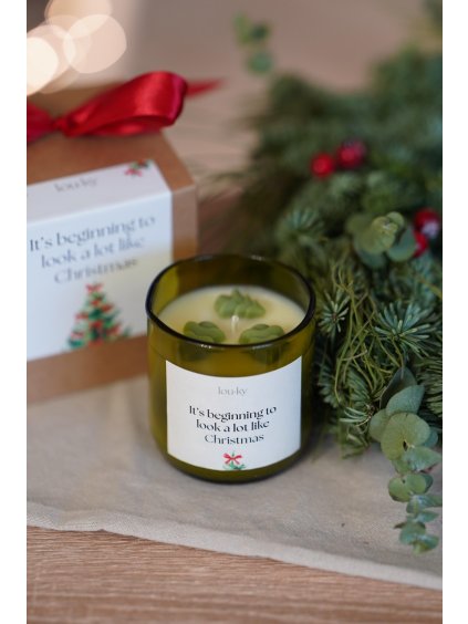 Louky Studio It’s beginning to look a lot like Christmas Vánoční sojová vonná svíčka