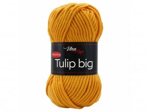 tulip big 4489