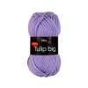 4072 tulip big