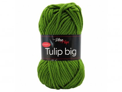 Tulip big 4456 zelená
