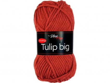 Tulip big 4238 rezavá