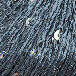 Stenli Venera - viskóza s flitry -  5261 šedo-petrol