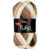 Tulip color 5217 hnědo-světlý melír