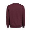 3430010 490 UMCrewneckRegularFit back