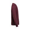 3430010 490 UMCrewneckRegularFit right