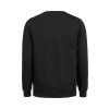 3430010 900 UMCrewneckRegularFit back