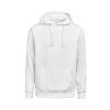 3440010 100 UMHoodieRegularFit front