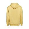 3440010 205 UMHoodieRegularFit back