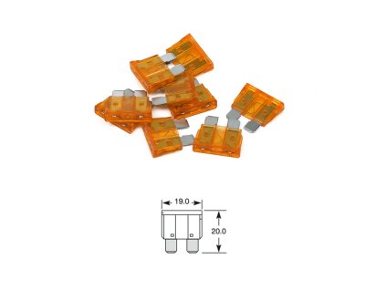 1309 1 pojistka plocha 5a