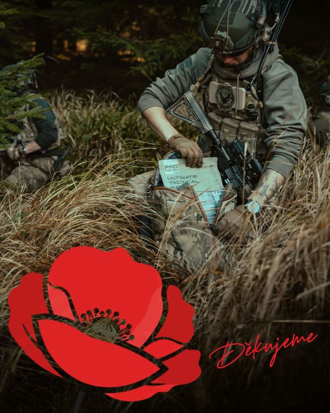 Den válečných veteránů (11. 11.) je připomínkou toho, že za každou svobodou stojí někdo, kdo ji musel vybojovat. Ne vždy...