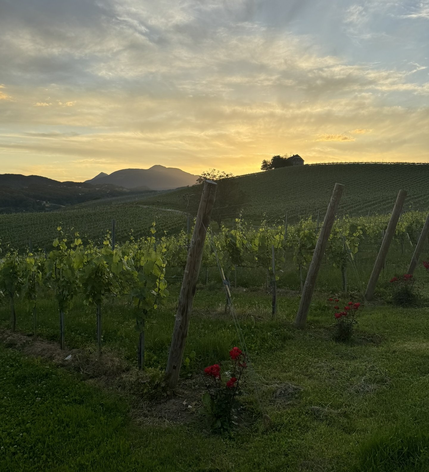Takto krásně jsme se měli ve Štýrsku a Slovinsku