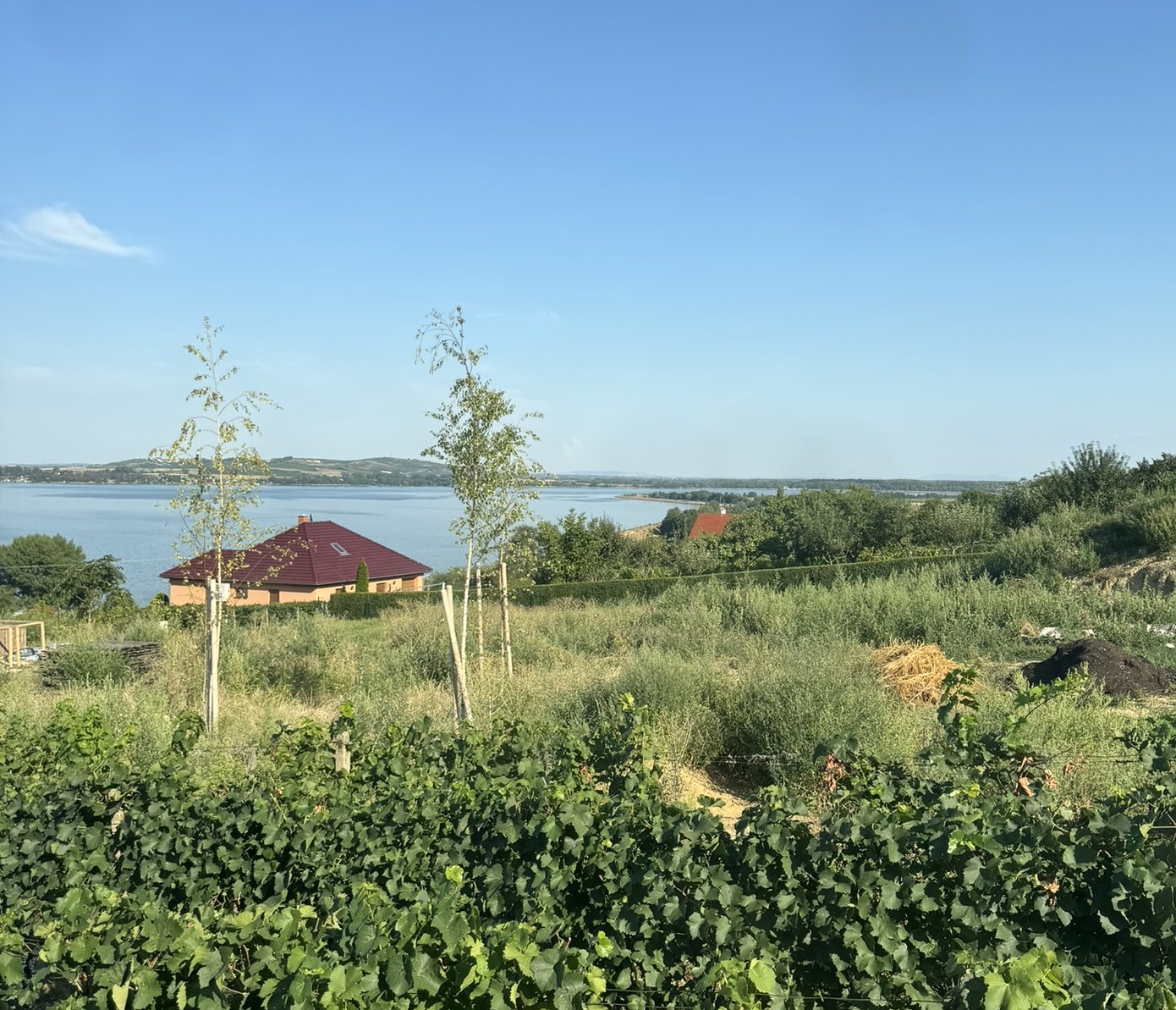 Návštěva v Pavlově