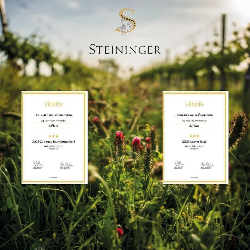 Steininger rosé bodují ve Vinaria magazínu