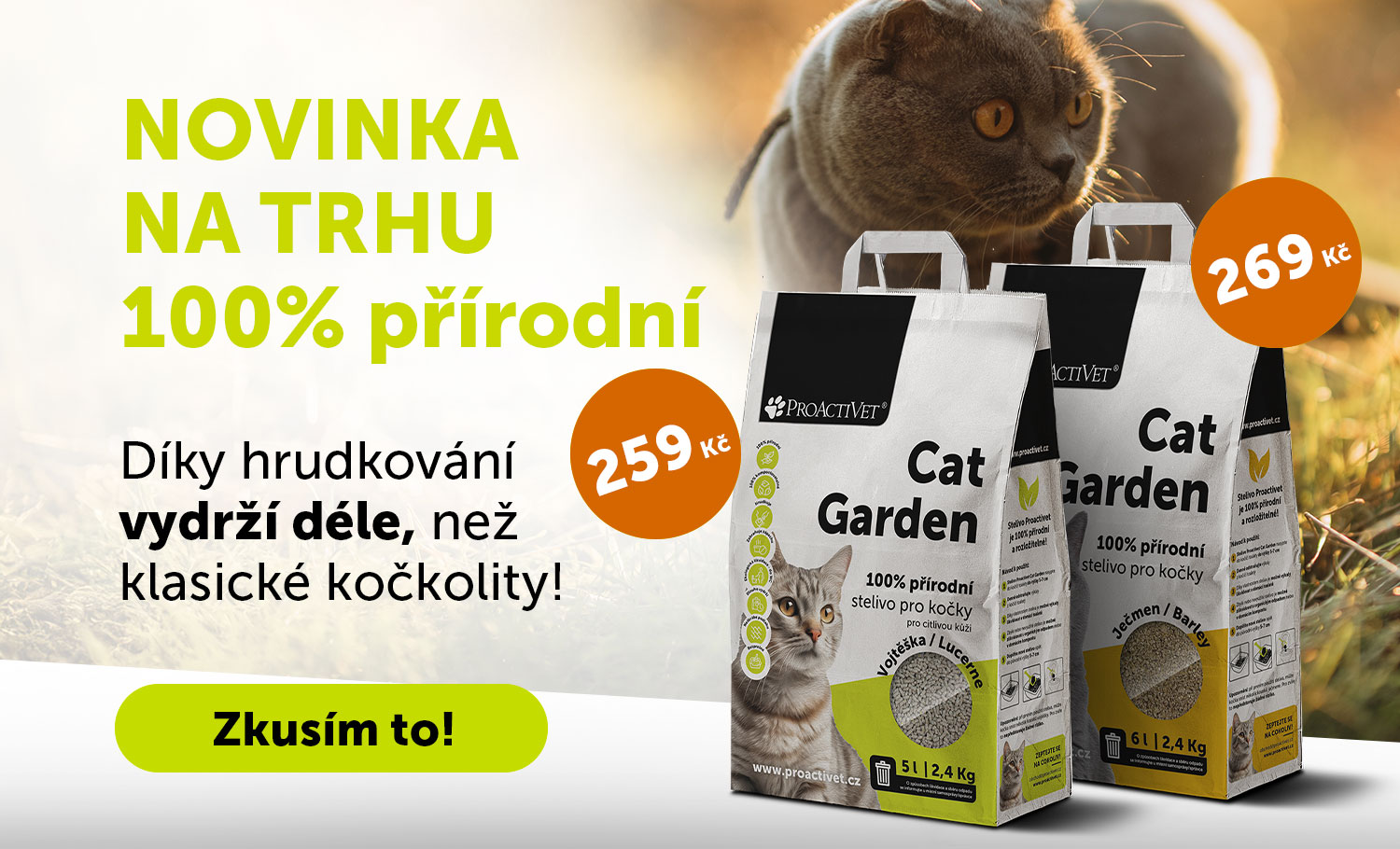 Cat Garden