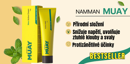 muay