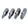 BIT TORX  hrot