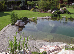 Péče o vodu v jezírku