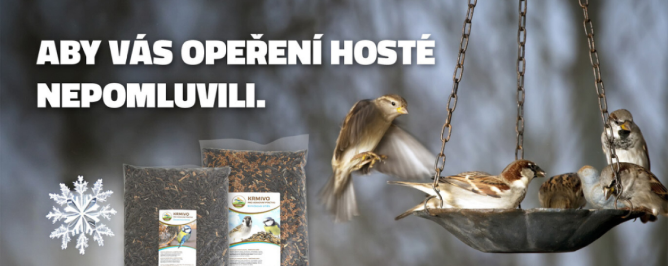 Zpěváčci na krmítku