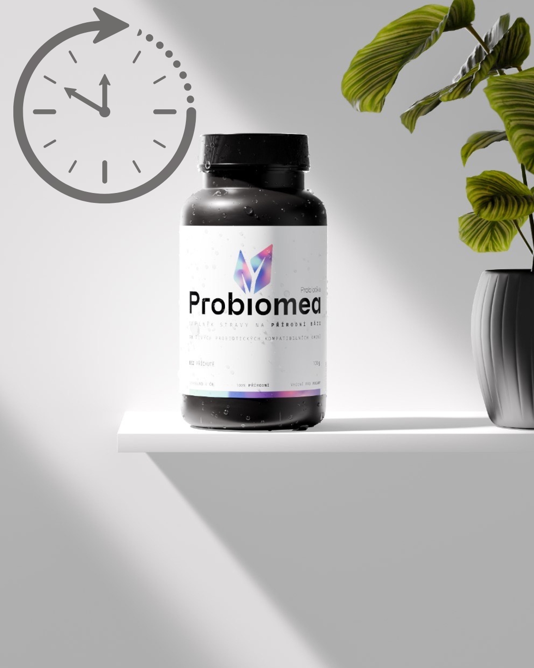 Kdy brát probiotika a jak maximalizovat jejich zdravotní přínosy?