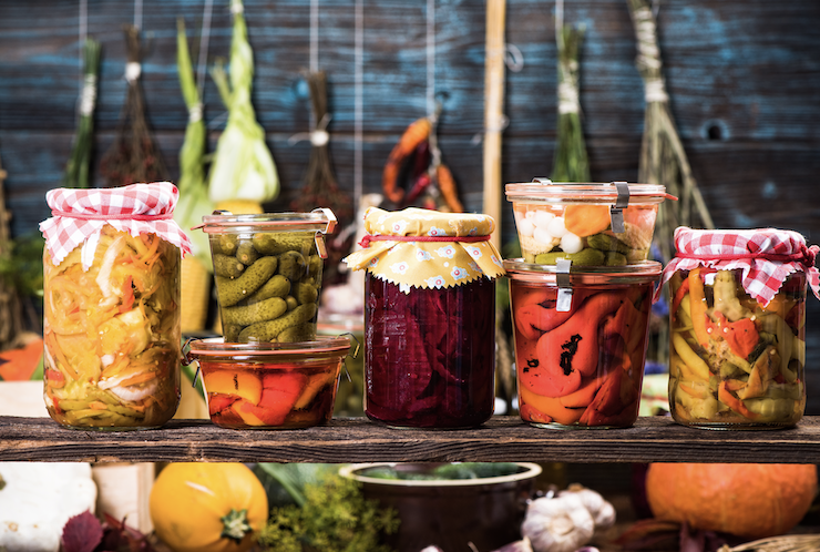 Probiotika vs. fermentované potraviny: Co skutečně pomáhá vašemu trávení?