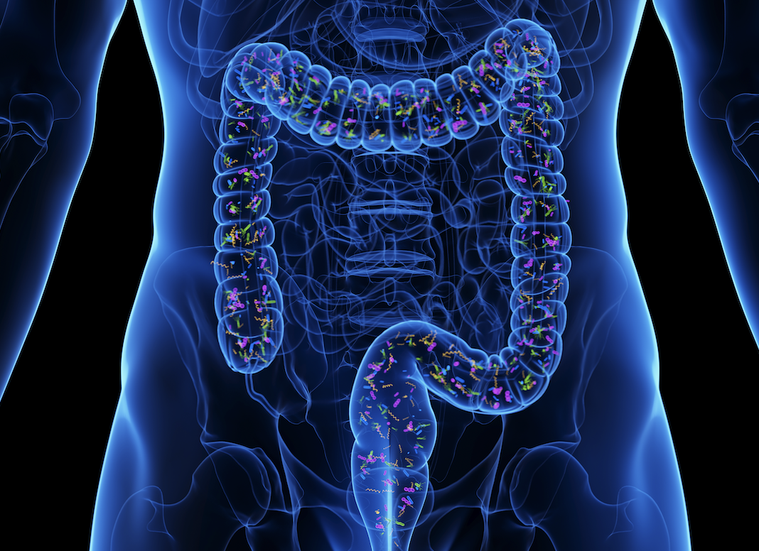 Jak souvisí probiotika a zdraví? Aneb na co se můžete těšit na tomto blogu