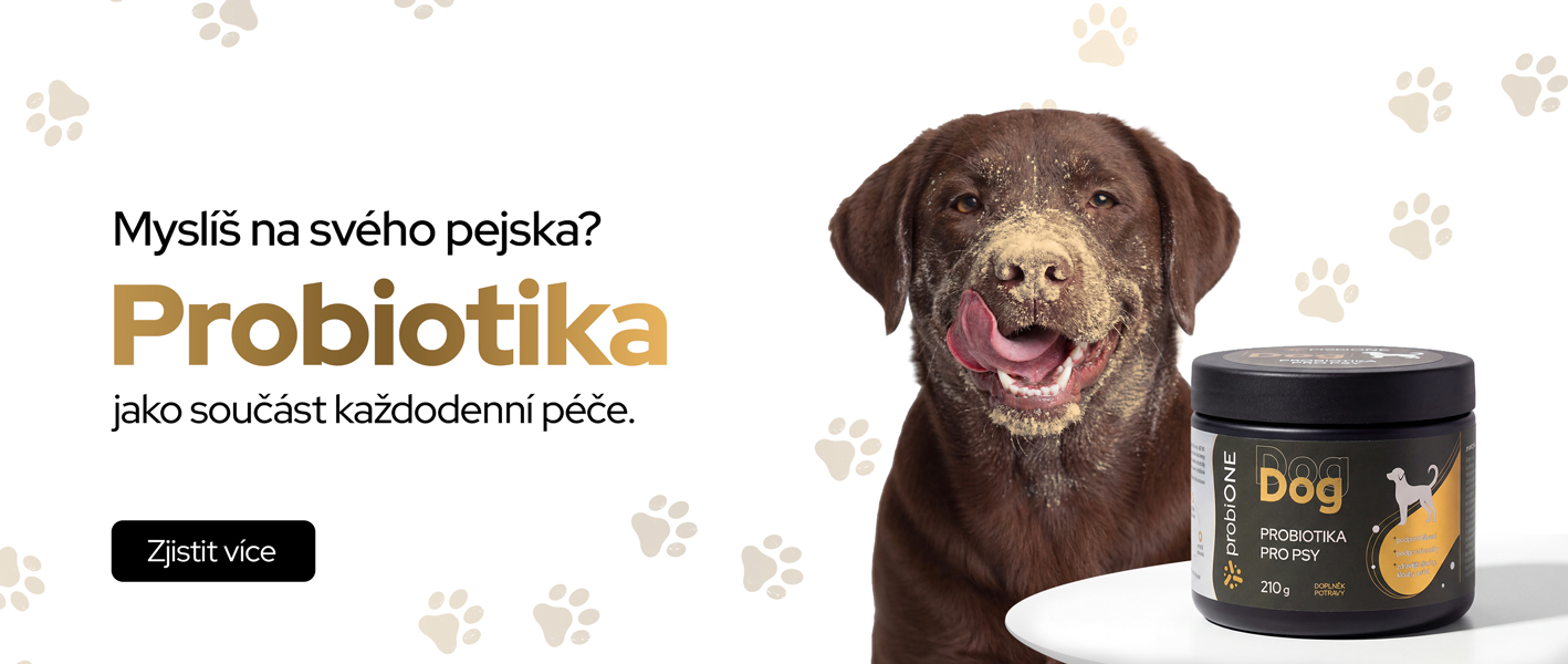 Probiotika pro psy - probiONE DOG