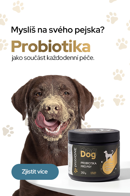 Probiotika pro psy - probiONE DOG
