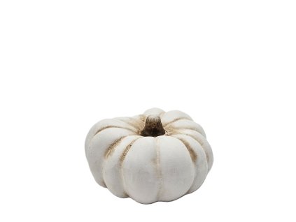 Bila Dyne (bílé dýně, bílé dýni, Cucurbita pepo) Bila Dyne
