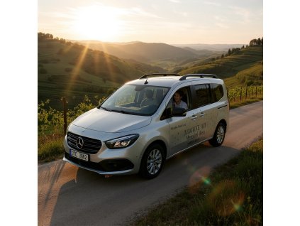 Termoclony MB Citan Tourer