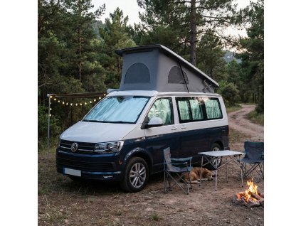 termoclony vw t5 t6