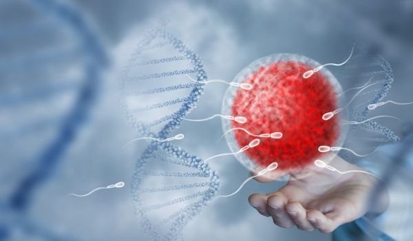 Fragmentácia DNA v spermiách: Skrytá príčina neplodnosti u muža?