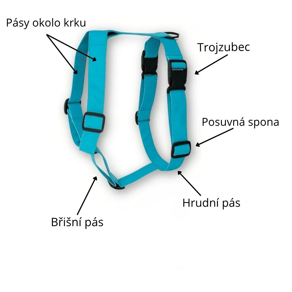 Jak nastavit postroj pro psa