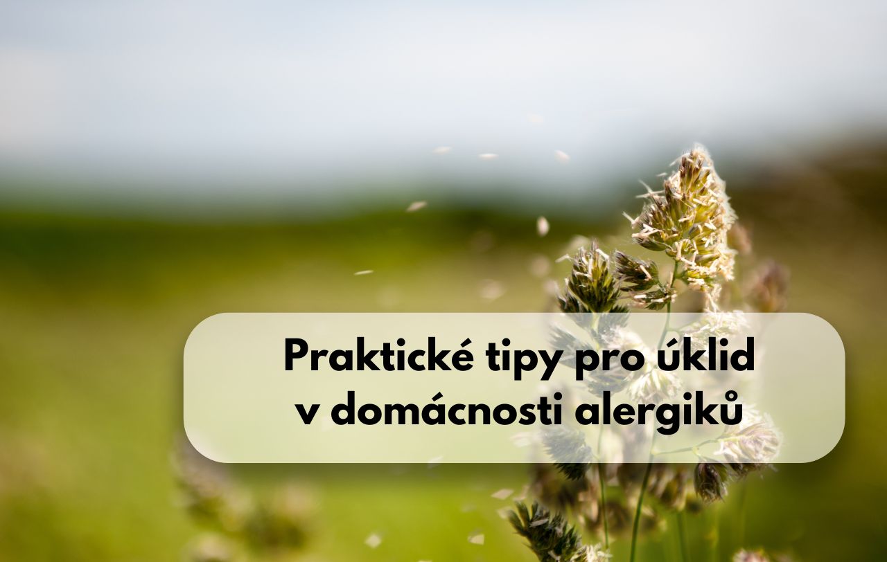 Stop alergiím: 6+1 tip, jak udělat z domova bezpečný přístav i v pylové sezóně