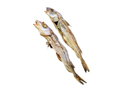 Sušená mořská štika 30-40cm