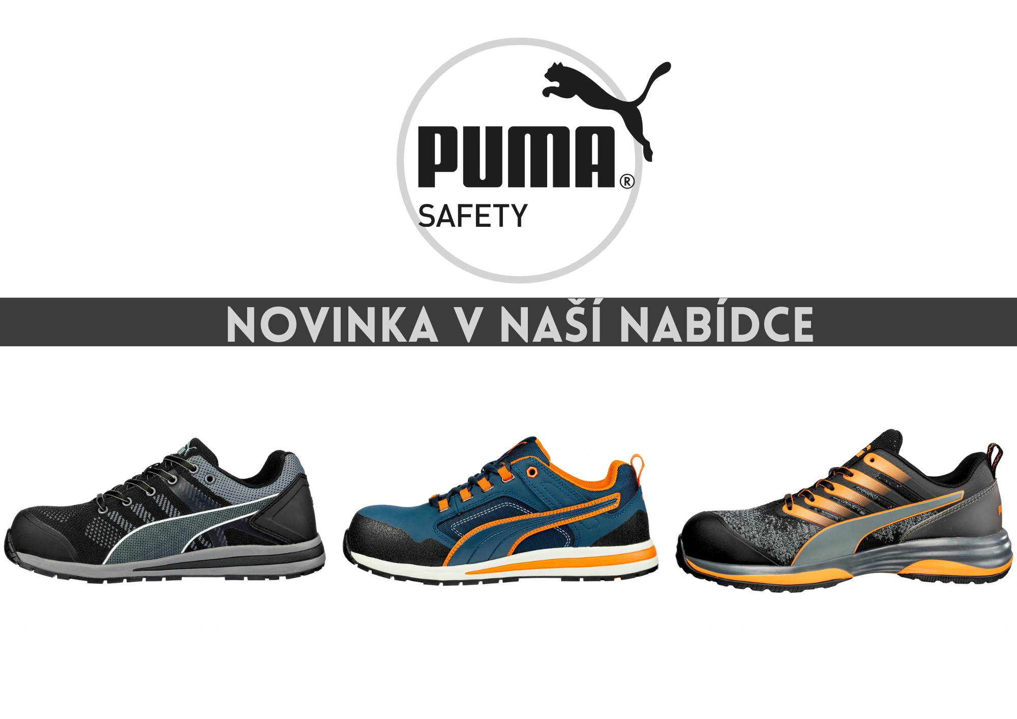 Puma Safety